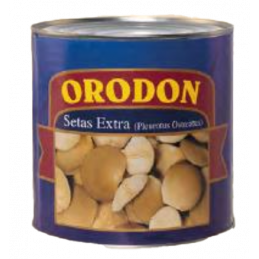 Orodon - Mushrooms "Setas"
