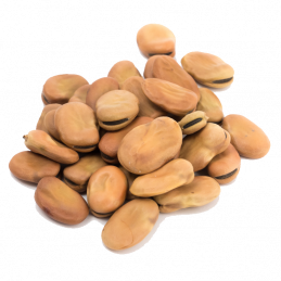 Butter Beans - Habas Miau